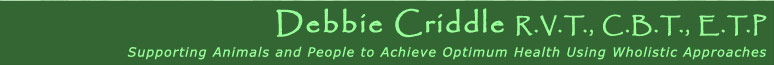 Debbie Criddle R.V.T., C.B.T., E.T.P.